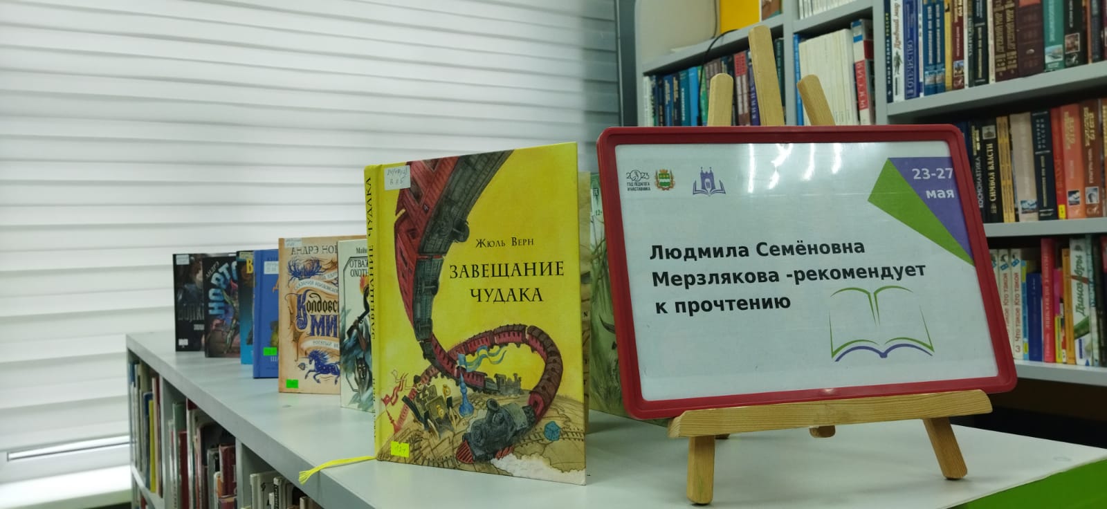 Амурская книги