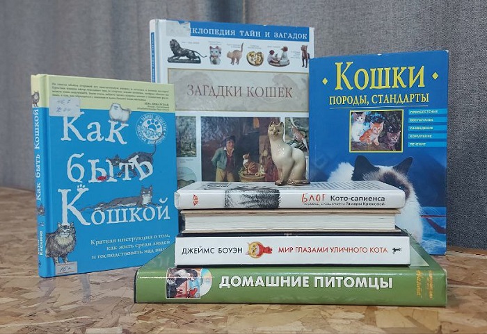 Финкова, Юдин, Селезнев: Ноутбук? Легко! Пошаговая инструкция по применению